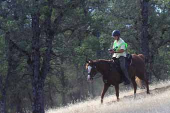 View from the Top of the World