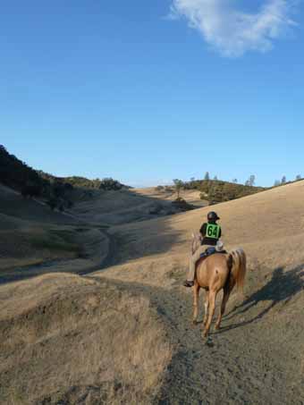 Starting the Ride, with Tango Leading the Way