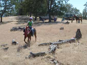 Jody and Hotshot Negotiate the Obstacle