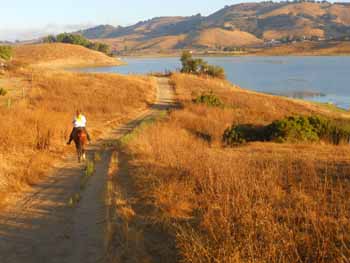 Tammy & Lark: Early Morning in Calero Park 
