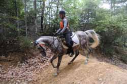 Photo by Bob Dorsey. � Bob Dorsey 2010 