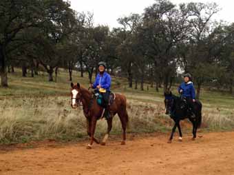 Sunny and Me, Trisha and Jake