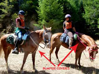 Breast Collars and Bumper Covers