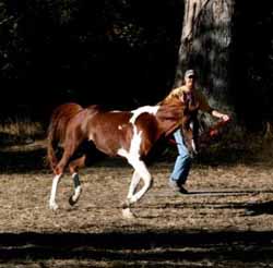 Photo by Donna Stidolph