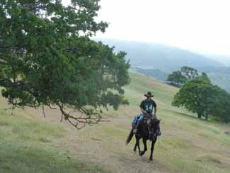 Joe and Codie about 2 Miles In