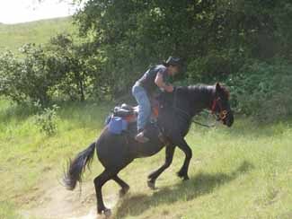 Joe and Codie Taking the Hill