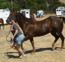 Photo by Baylee Dorsey