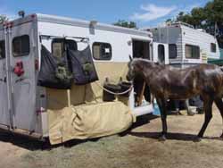 Photo by Kathi Bruns